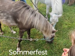 Sommerfest mit Ponyreiten